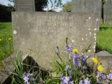 image of grave number 596851